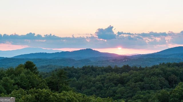 351 Black Dog Trail, Morganton, GA 30560