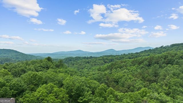 351 Black Dog Trail, Morganton, GA 30560