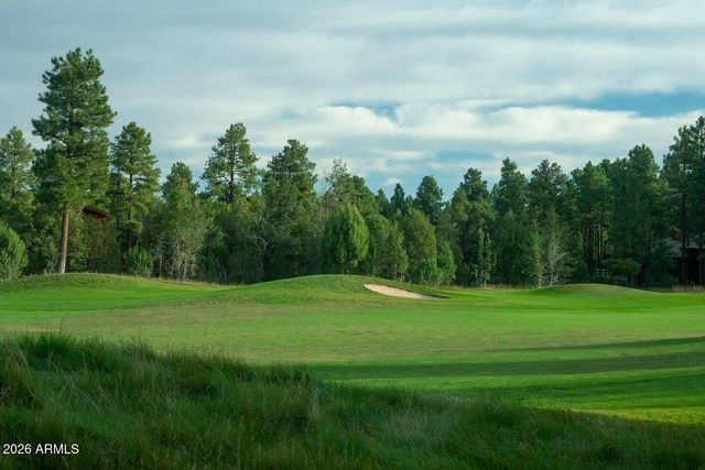 1380 S Lakeside Trail, Show Low, AZ 85901