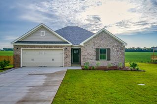 1017 Sandbed Road, Newton, AL 36352
