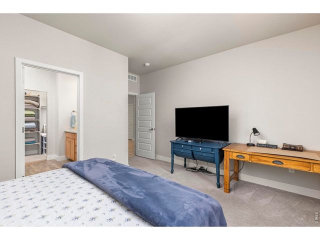 3836 Sweetgum St, Wellington, CO 80549