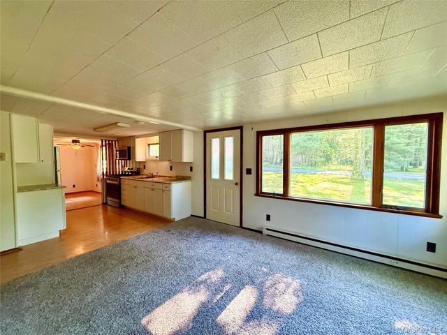 148 Lakeview Drive Road, Highland Lake, NY 12743
