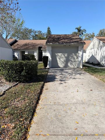 11717 SPRING TREE LANE, Port Richey, FL 34668