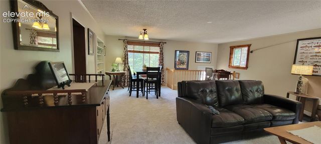 9655 Mohawk Trail, Cascade, CO 80809