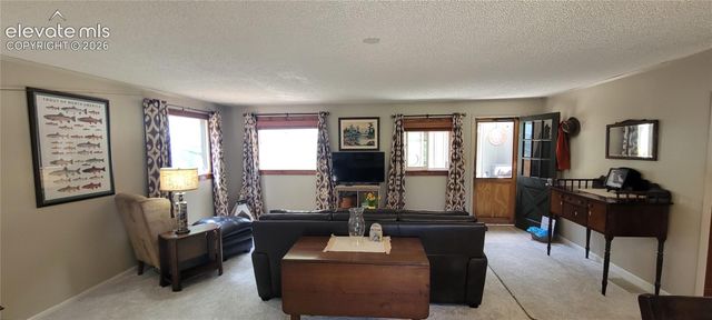 9655 Mohawk Trail, Cascade, CO 80809