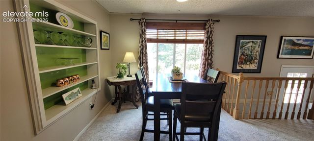 9655 Mohawk Trail, Cascade, CO 80809