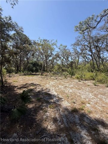5921 Old Powers Street, Sebring, FL 33876