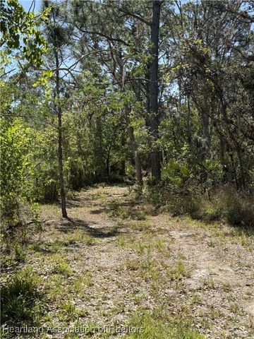 5921 Old Powers Street, Sebring, FL 33876