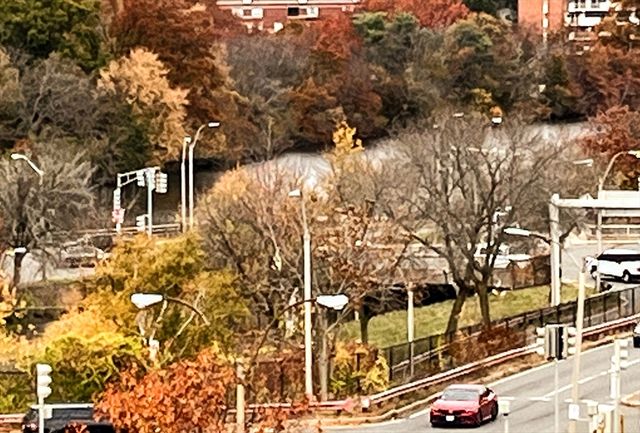 70 Leo M Birmingham 508, Boston, MA 02135