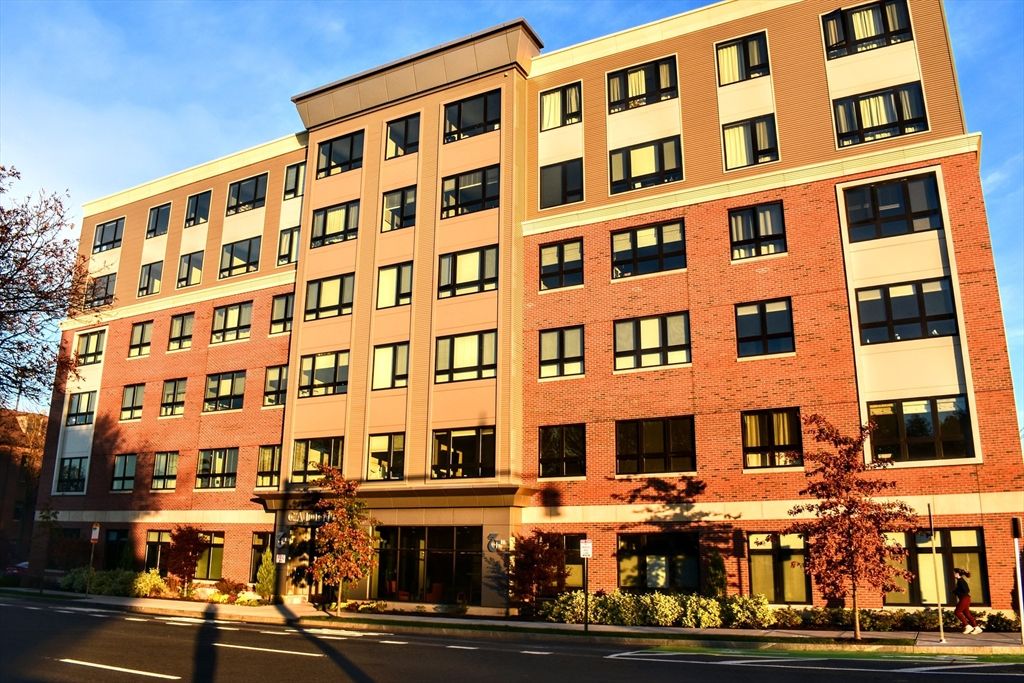 70 Leo M Birmingham 508, Boston, MA 02135
