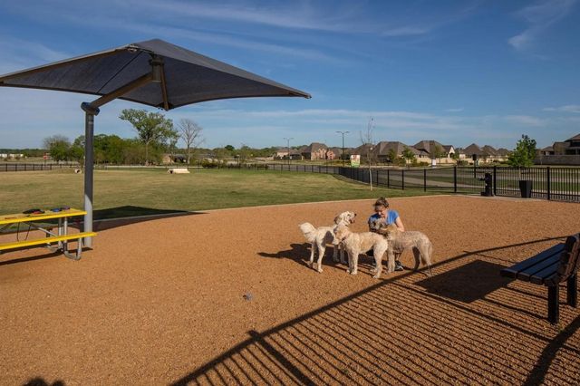 321 Bay Laurel Road, Mckinney, TX 75071