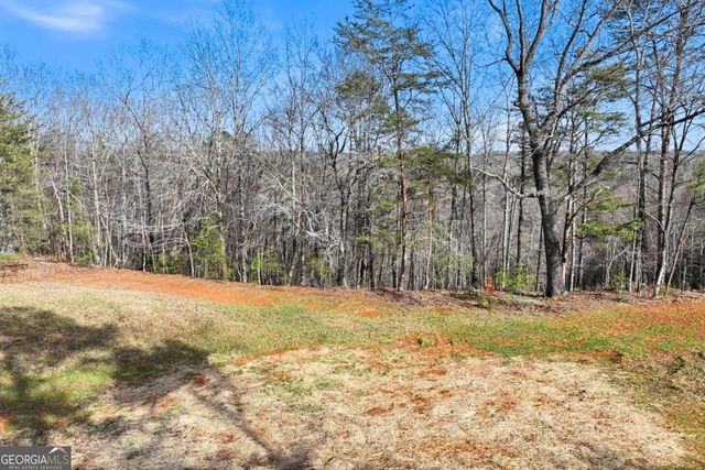 1012 Bear Paw Ridge, Dahlonega, GA 30533