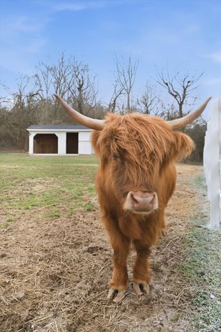 1747 Old Natchez Trce, Franklin, TN 37069