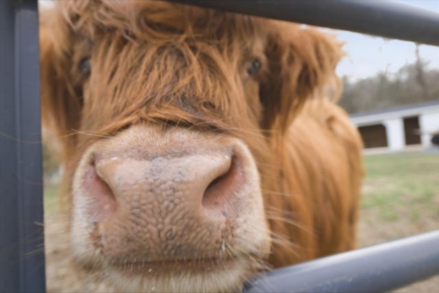 1747 Old Natchez Trce, Franklin, TN 37069