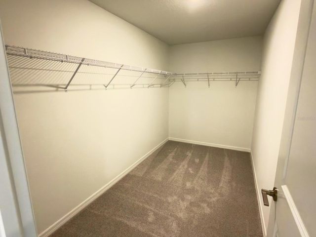 2318 ALLIUM ROSEUM LANE, Plant City, FL 33565