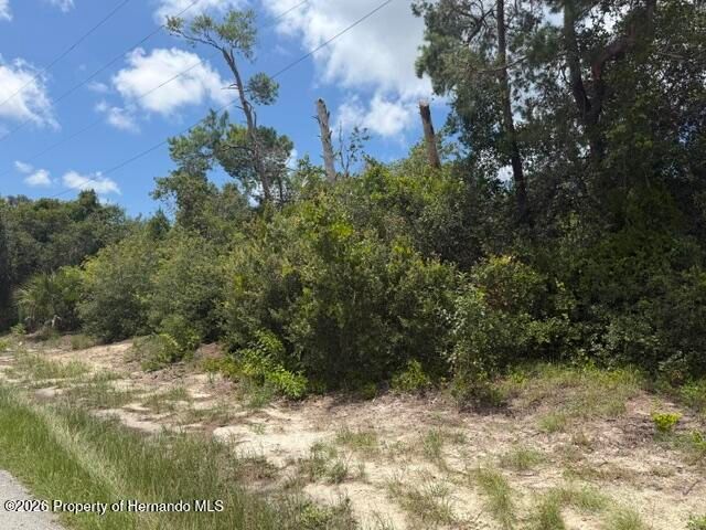 0 Sandra Drive, Weeki Wachee, FL 34607