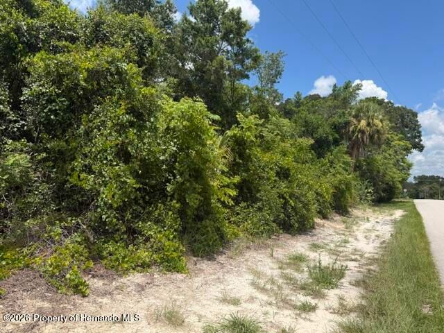 0 Sandra Drive, Weeki Wachee, FL 34607