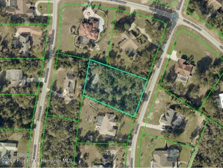 0 Sandra Drive, Weeki Wachee, FL 34607