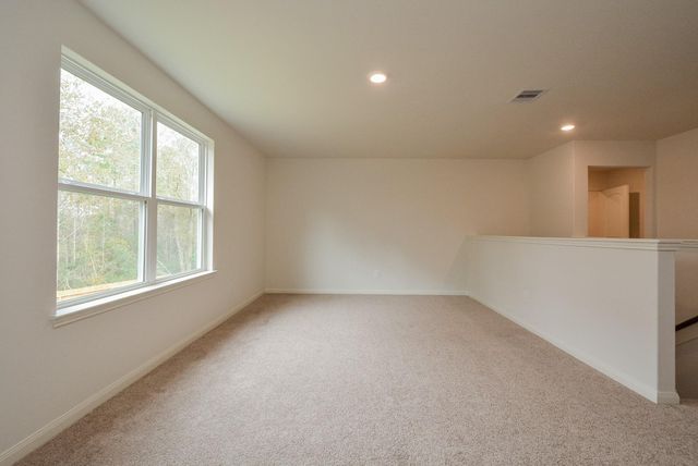 21339 Rachel Manor Drive, Hockley, TX 77447