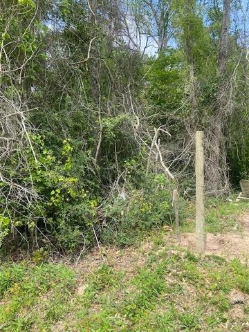0 Robin Hood Lane, Shepherd, TX 77371