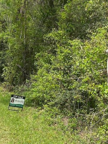 0 Robin Hood Lane, Shepherd, TX 77371