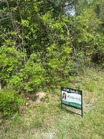 0 Robin Hood Lane, Shepherd, TX 77371