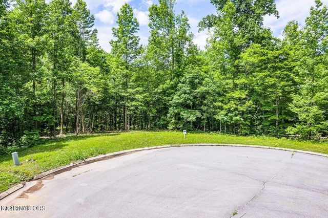 439 Ridgeway Pass, Spring City, TN 37381