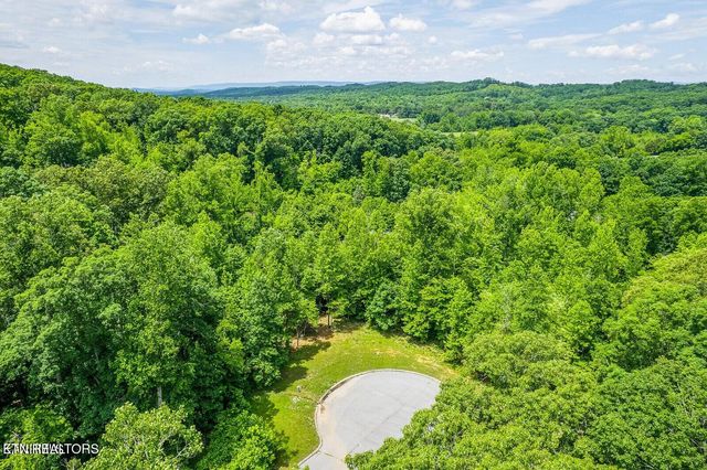 439 Ridgeway Pass, Spring City, TN 37381
