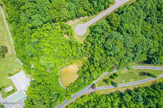 439 Ridgeway Pass, Spring City, TN 37381