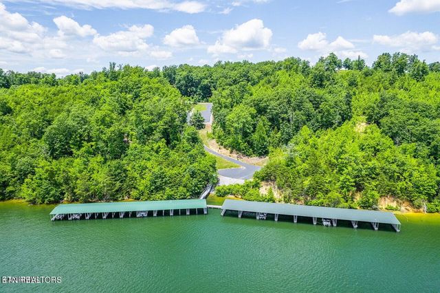439 Ridgeway Pass, Spring City, TN 37381
