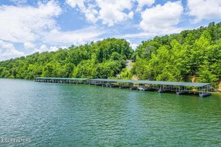439 Ridgeway Pass, Spring City, TN 37381