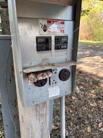 7366 SE 250 Road Road, Collins, MO 64738