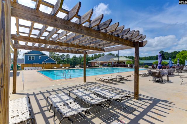 116 Quiet Cove Drive, Chapin, SC 29036