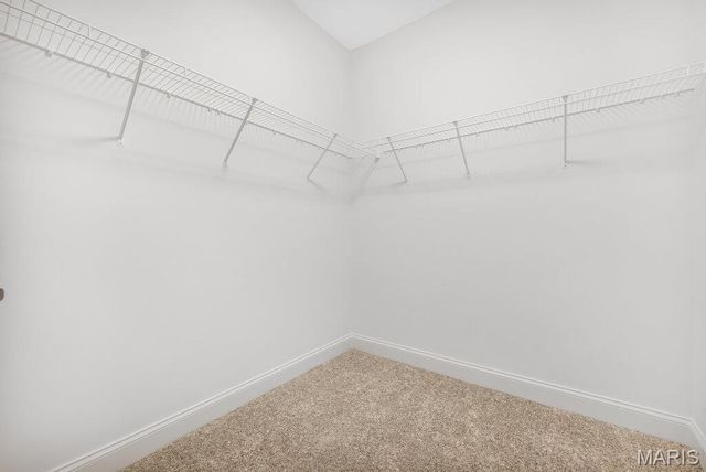 113 Timber Wind Drive, Wentzville, MO 63385