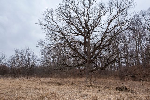 25445 2300 North Avenue, Princeton, IL 61356