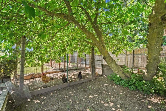 10450 Walnut Grove Rd, Thornton, CA 95686