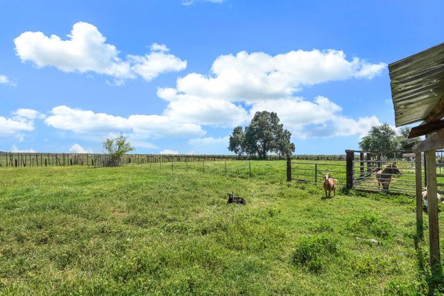 10450 Walnut Grove Rd, Thornton, CA 95686