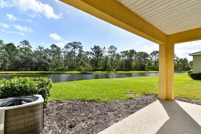 20461 BERRYWOOD LANE, Tampa, FL 33647