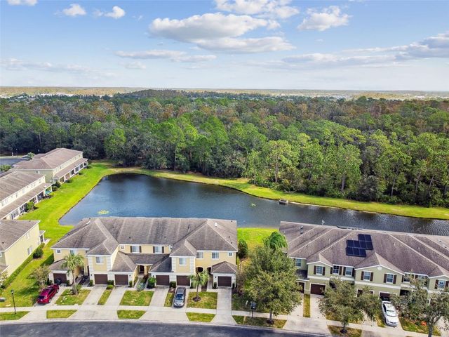 20461 BERRYWOOD LANE, Tampa, FL 33647