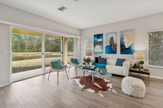 20461 BERRYWOOD LANE, Tampa, FL 33647