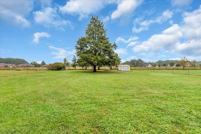 1619 Hills Chapel Rd, Manchester, TN 37355