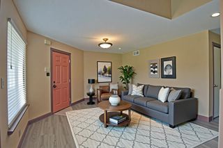 1704 Baird Farm Circle 4207, Arlington, TX 76006