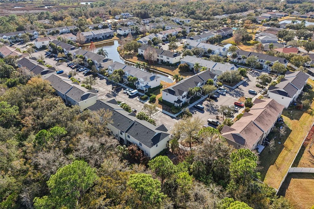 Image 36 of property listing at 12304 COUNTRY WHITE CIRCLE, Tampa, FL 33635