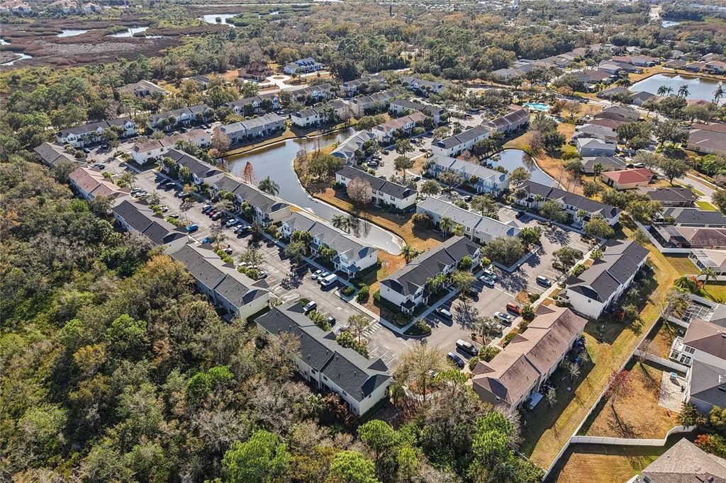 Image 37 of property listing at 12304 COUNTRY WHITE CIRCLE, Tampa, FL 33635