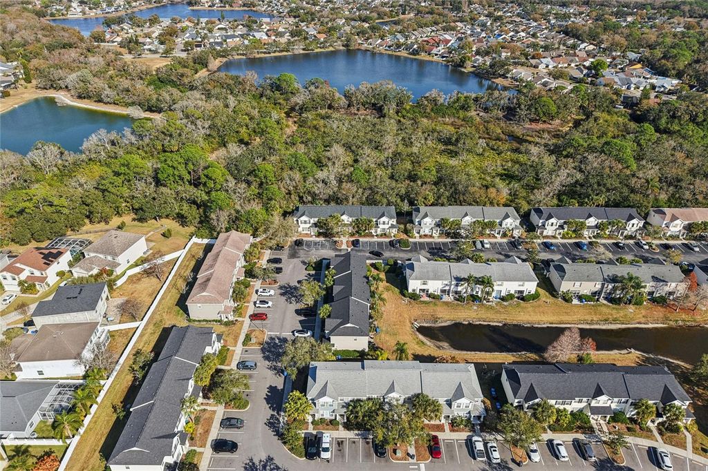 Image 39 of property listing at 12304 COUNTRY WHITE CIRCLE, Tampa, FL 33635