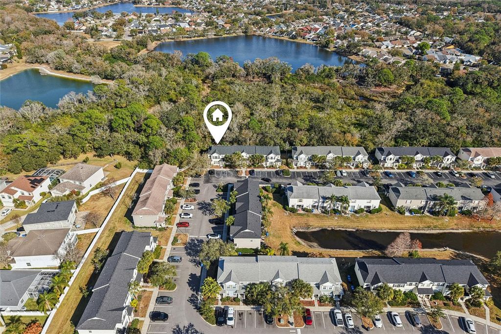 Image 40 of property listing at 12304 COUNTRY WHITE CIRCLE, Tampa, FL 33635