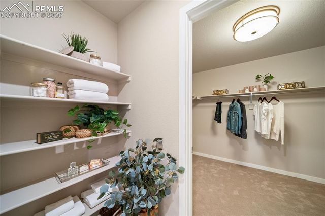 4984 Eddleman Court, Colorado Springs, CO 80925