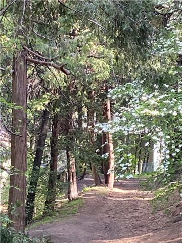 24380 Horst, Crestline, CA 92325