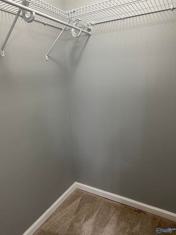 228 Tanner Point Drive, New Market, AL 35761