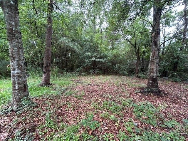 3401 Baumhauer Road, Theodore, AL 36582